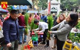 Lúa trổ đòng đắt khách ở chợ hoa Hàng Lược